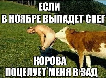 Если в ноябре выпадет снег